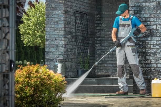 Best Animal Enclosure Cleaning  in Mason, MI