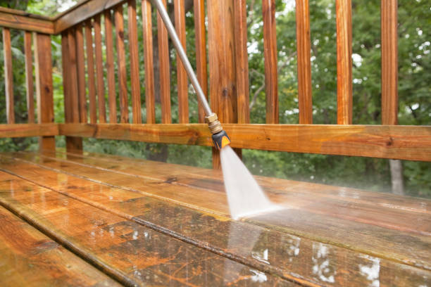 Animal Enclosure Cleaning in Mason, MI